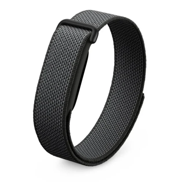 Google Fitbit Air