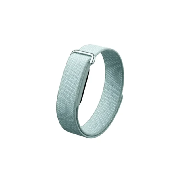 Google Fitbit Air Fog